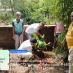 वृक्षारोपण